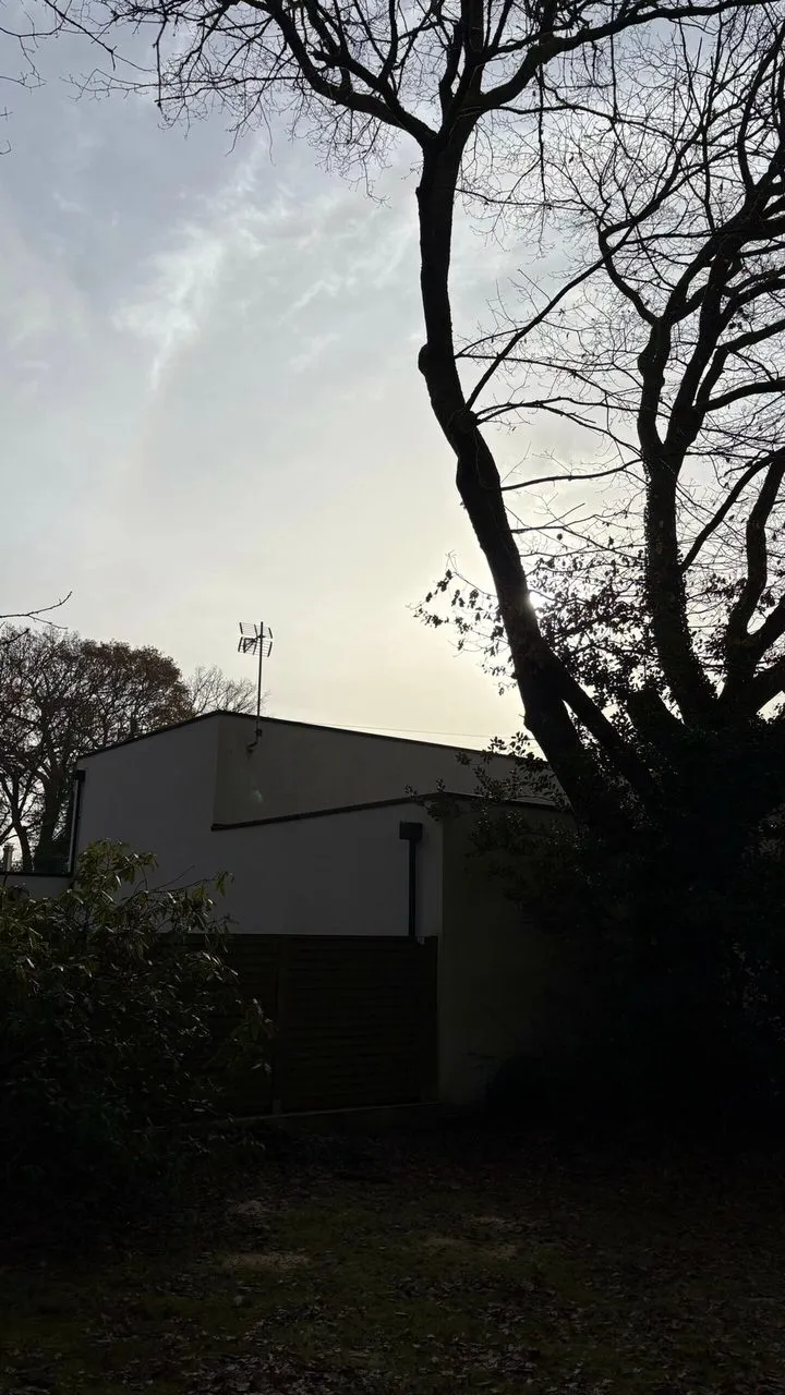 Élagage du chêne avec nacelle à Sautron